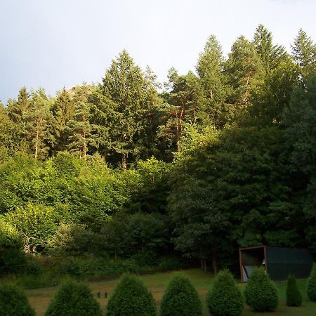 Ferienwohnung Am Pfaffenfels Schönau المظهر الخارجي الصورة