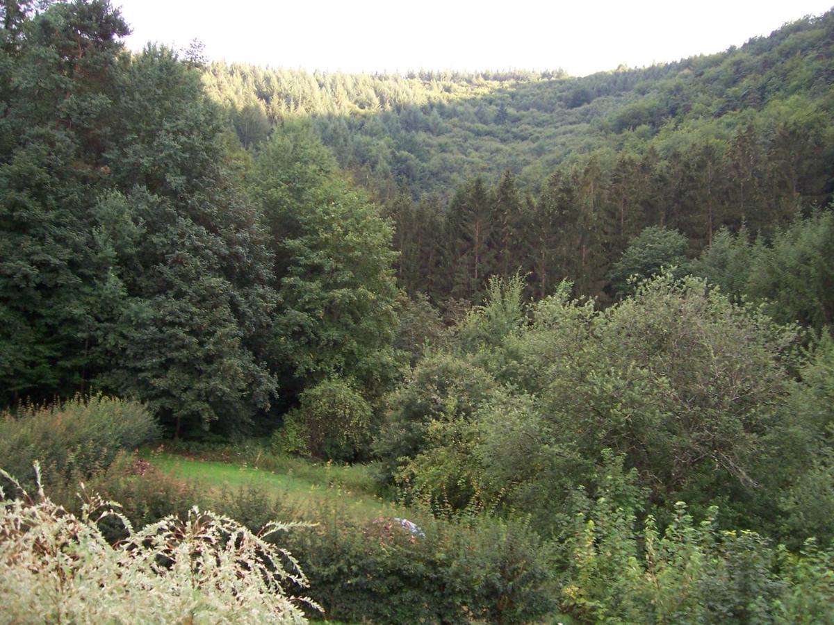 Ferienwohnung Am Pfaffenfels Schönau المظهر الخارجي الصورة