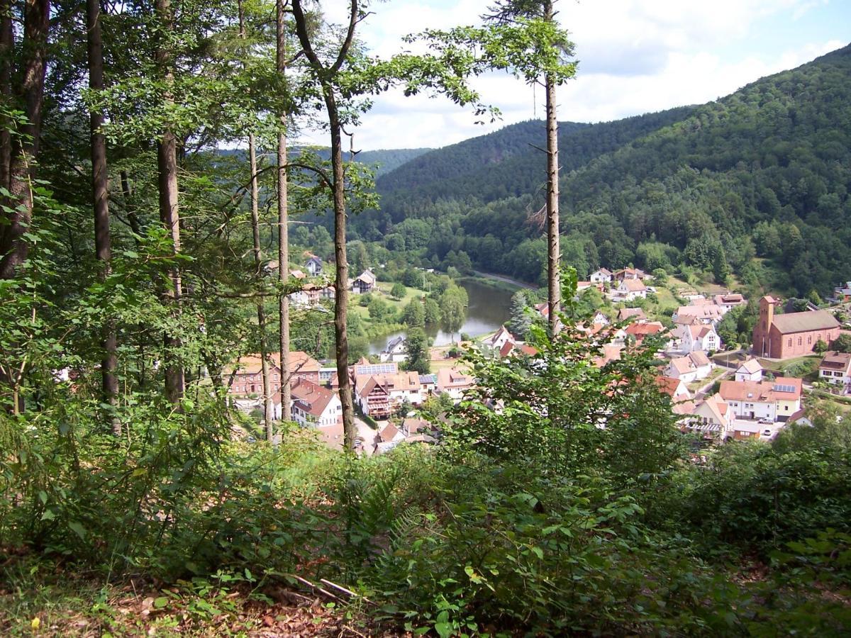Ferienwohnung Am Pfaffenfels Schönau المظهر الخارجي الصورة