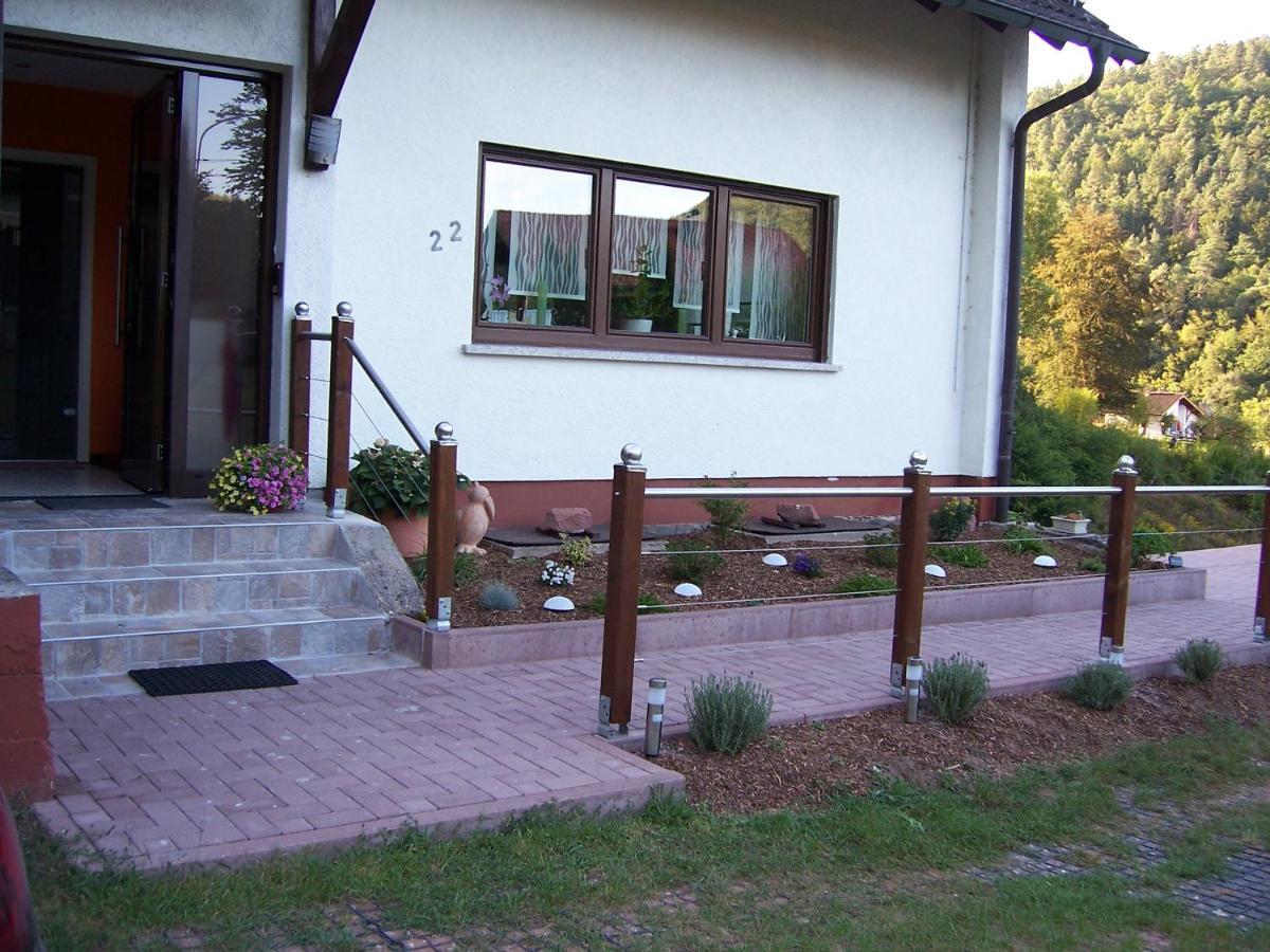Ferienwohnung Am Pfaffenfels Schönau المظهر الخارجي الصورة